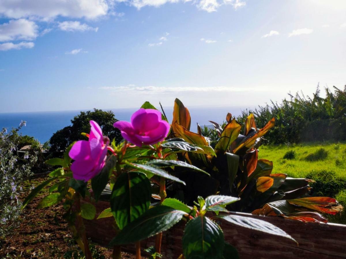 Casas Serenas Estreito Da Calheta Extérieur photo